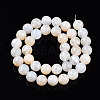 Natural Crackle Agate Beads Strands G-S359-240B-2-2