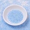 MIYUKI Delica Beads SEED-X0054-DB0831-2