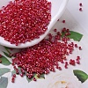 MIYUKI Delica Beads SEED-X0054-DB0162-1