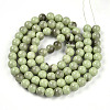 Baking Paint Glass Beads Strands DGLA-N013-10mm-05-2