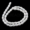Natural Selenite Beads Strands G-F750-B-21-2