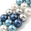 Electroplated Shell Pearl Beads Strands SHEL-F008-03B-07-1