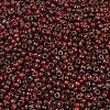 MIYUKI Round Rocailles Beads SEED-G008-RR4513-2