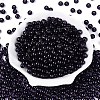 FGB Transparent Glass Seed Beads SEED-N013-01B-02-2