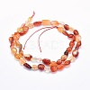 Natural Carnelian Beads Strands LS-G-G765-52-2
