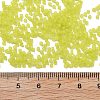Frosted Colours Glass Seed Beads SEED-H003-06E-3