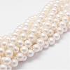 Rainbow Plated Shell Pearl Bead Strands BSHE-L025-02-8mm-1
