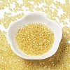8/0 Glass Seed Beads SEED-Z001-C-E02-2