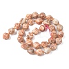 Natural Red Netstone Beads Strands G-U023-A13-01-3