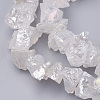 Electroplated Natural Quartz Crystal Bead Strands X-G-F336-06A-1