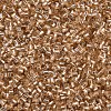 Glass Bugle Beads SEED-S032-08A-39A-3