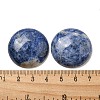 Natural Sodalite Cabochons G-C115-02B-18-3