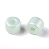 Baking Paint Pearlized Glass Seed Beads SEED-T008-03P-4