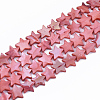 Freshwater Shell Beads Strands SHEL-S276-31D-1