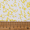 12/0 FGB Grade A Round Glass Seed Beads SEED-N001-A-1001-3