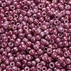 TOHO 6/0 Round Beads SEED-TR06-1202-4