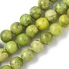 Dyed Natural Dolomite Beads Strands G-D337-8mm-D04-2