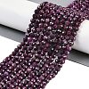 Natural Ruby Beads Strands G-P553-G01-04-1