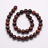 Natural Tiger Eye Bead Strands G-P230-14-8mm-2