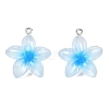 Transparent Resin Pendants RESI-P048-01P-2