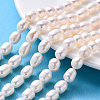 Natural Cultured Freshwater Pearl Beads Strands X-PEAR-I003-04-1