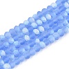Transparent Glass Beads Strands EGLA-A044-T3mm-MB14-1