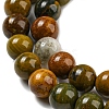 Natural Ocean Jasper Beads Strands G-P503-6MM-07-4