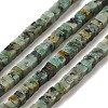 Natural African Turquoise(Jasper) Beads Strands G-N342-83-1
