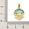 Rack Plating Glass Pendants KK-U035-14G-3