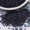 MIYUKI Delica Beads X-SEED-J020-DB2191-1