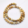 Natural Fossil Coral Beads Strands G-G697-F01-4mm-2