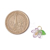 Plastic & Acrylic Pendants PALLOY-JF03053-01-2