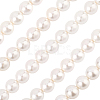 1 Strand AB Color Plated Shell Pearl Round Beads Strands BSHE-LT0001-01-1