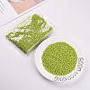 8/0 Glass Seed Beads SEED-US0003-3mm-44-5