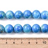 Natural Howlite Beads Strands G-H343-D06-12mm-B-5