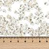 6/0 Spray Paint Fringe Glass Seed Beads SEED-H003-11B-4