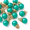 ABS Plastic Charms KY-YW0001-24B-2