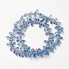 Electroplate Glass Beads Strands X-EGLA-L009-FR05-3
