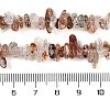 Natural Black Gold Rutilated Quartz Beads Strands X-G-G905-20-4