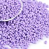 Baking Paint Glass Seed Beads X1-SEED-K010-A05-1