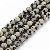 Natural Dalmatian Jasper Bead Strands G-R345-4mm-51-01-1