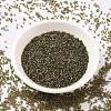 MIYUKI Delica Beads SEED-JP0008-DB1739-2