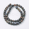 Natural Glaucophane Beads Strands G-F560-8mm-C01-2