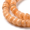 Natural Cultured Freshwater Shell Beads Strands SHEL-F002-01E-4