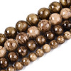 Natural Persian Jade Beads Strands G-A255-A02-01E-2