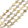 Drawbench Style Natural Freshwater Shell Beads Strands X1-BSHE-G036-01-1