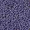 TOHO 11/0 Round Beads X-SEED-TR11-PF0567-2