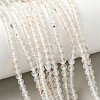 Natural Dendritic Agate Beads Strands G-C011-4mm-01-1