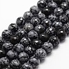 Natural Snowflake Obsidian Beads Strands G-G736-06-12mm-1