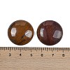 Natural Tiger Iron Cabochons G-H1596-FR-25mm-04-3